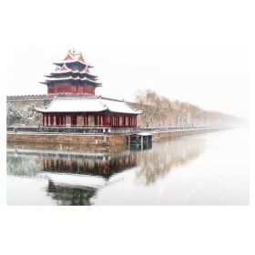 500 Piece Wooden Jigsaw Puzzle for Adults Chinese Place of Interest Puzzle Toy Gift; the Forbidden City