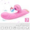 CR-DZ Dibey Rabbit 13th Generation Vibrator Pink